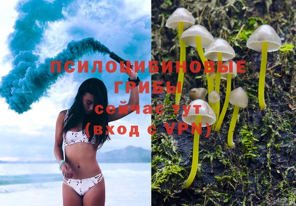 стафф Армянск